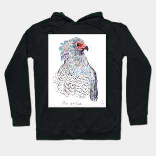 African Harrier Hawk Hoodie